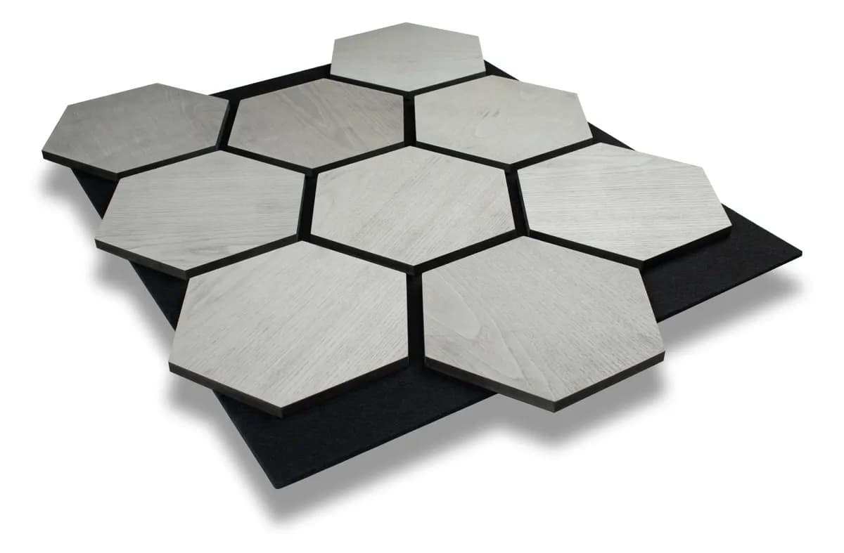 Gray Ash, Hexagon paneļi